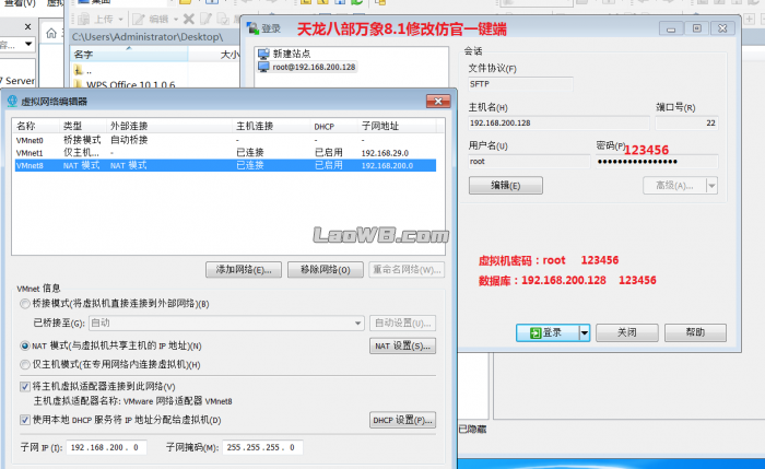 2.webp.jpg