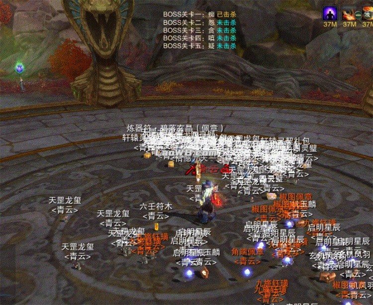 5.jpg