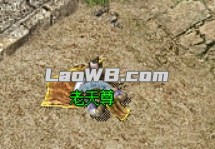 5.jpg