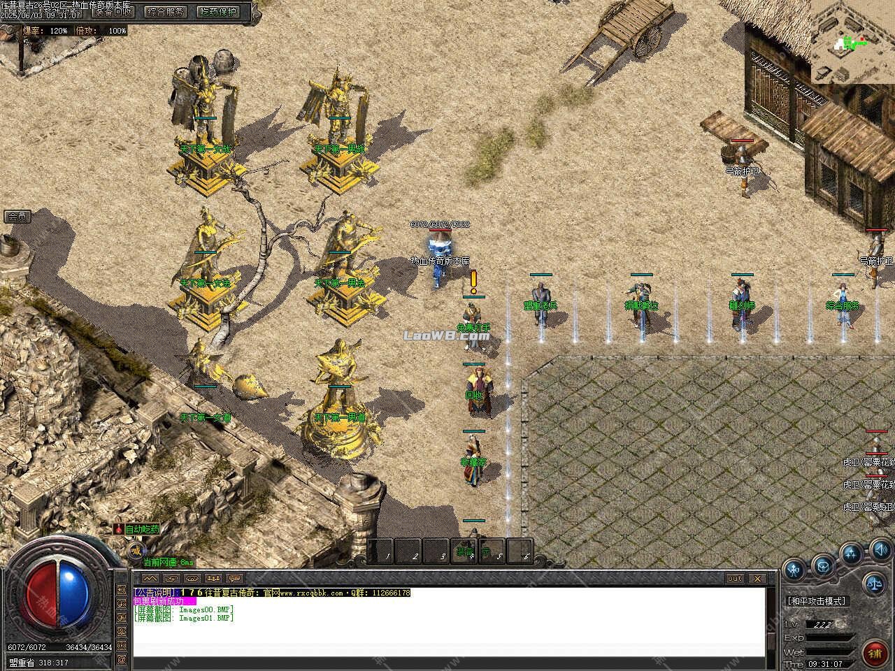 5.jpg