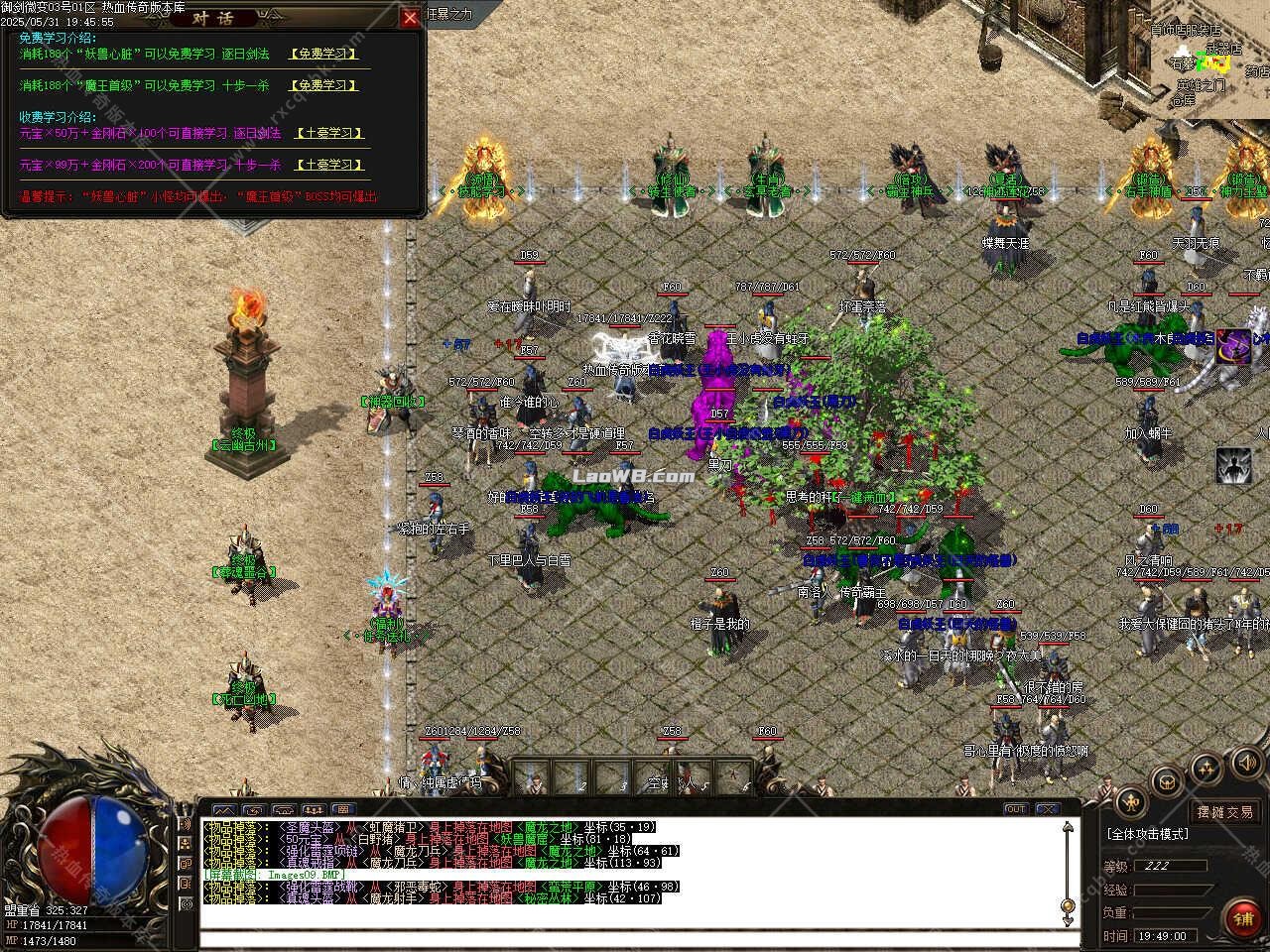 11.jpg