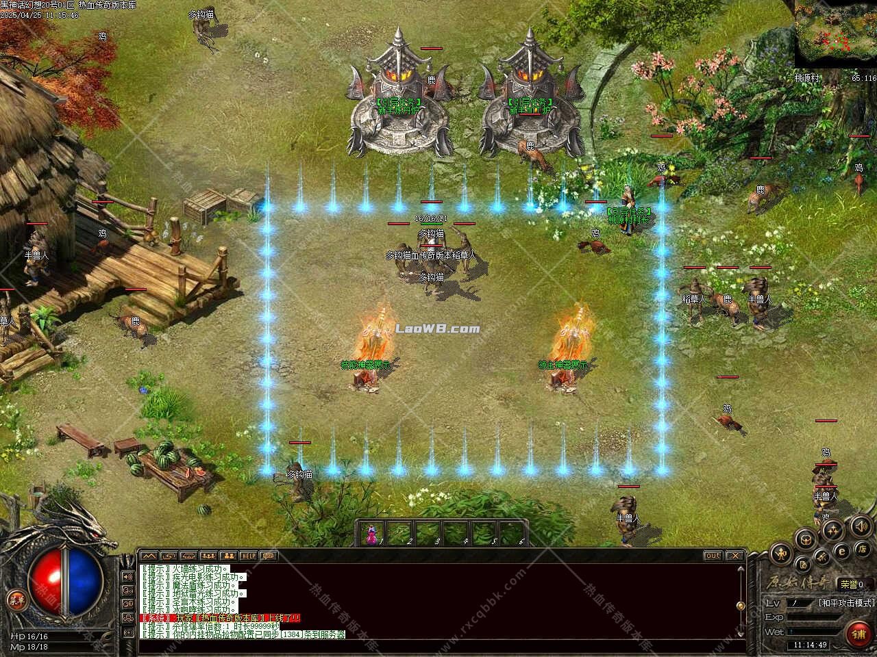3.jpg