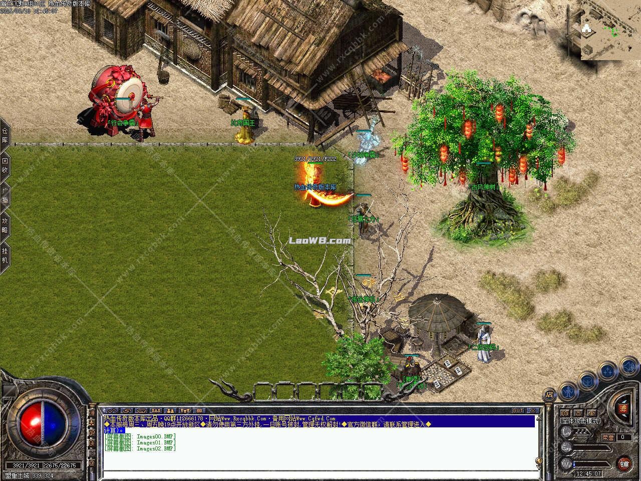 6.jpg