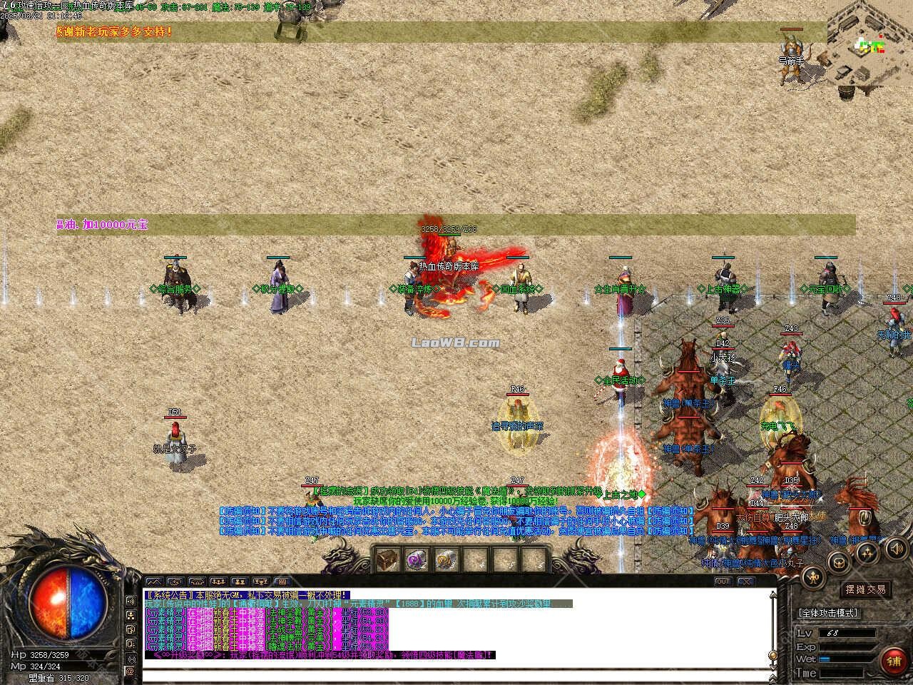 5.jpg