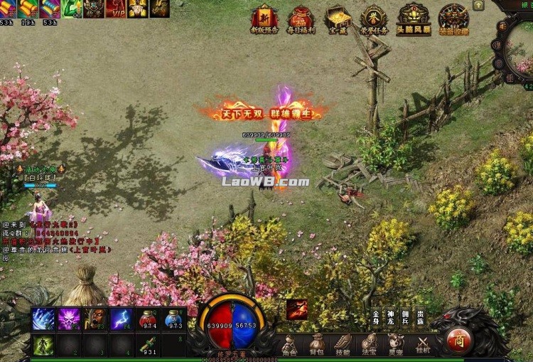 5.jpg