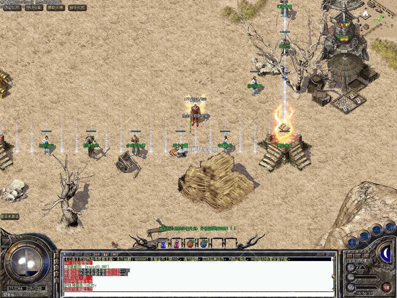 4.jpg
