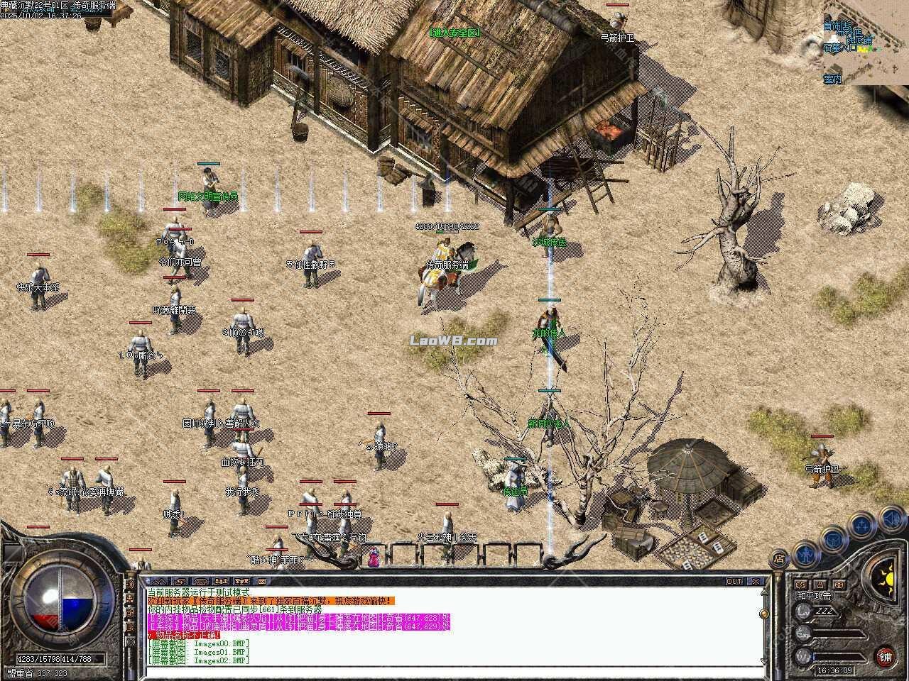 5.jpg