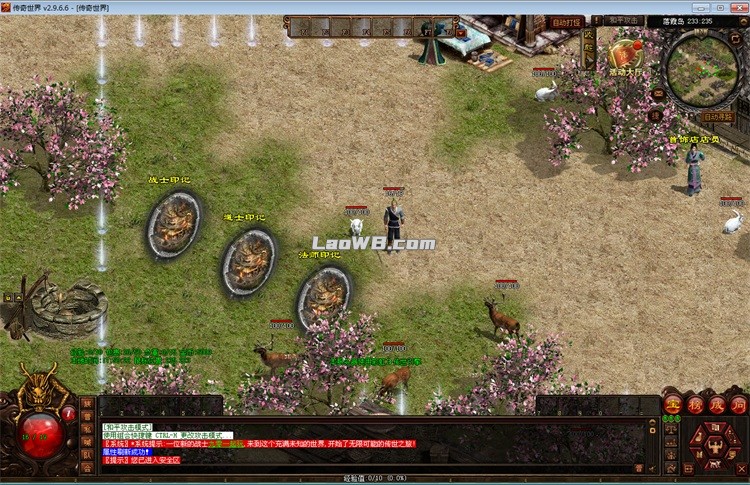 6.jpg